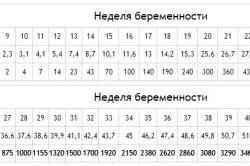 перший по підлозі