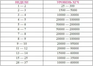 види тестів на вагітність