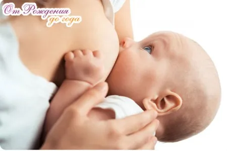 відновлення менструацій після пологів відновлення менструацій після пологів