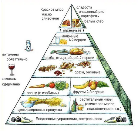 Гарвардська піраміда здорового харчування