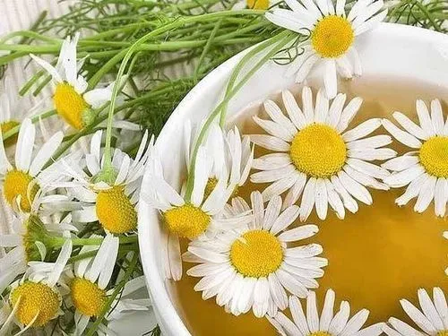 лікування після аборту лікування після аборту