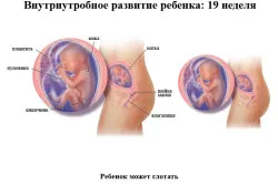 перший по підлозі
