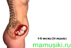 четвертий місяць вагітності