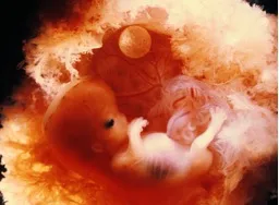 які є перші ознаки вагітності, які бувають тижні вагітності які бувають ознаки вагітності які бувають виділення при вагітності які симптоми бувають при вагітності які бувають тести на вагітність які бувають виділення на ранніх термінах вагітності яка буває позаматкова вагітність на які терміни буває завмерла вагітність які бувають перші ознаки вагітності яка буває температура при вагітності місячні при вагітності які вони бувають які бувають пробки при вагітності які є перші ознаки вагітності