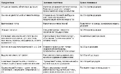 пологи на 38 тижні
