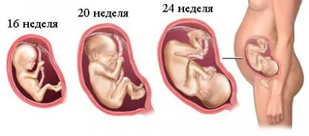 тиждень