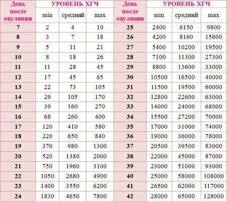40 тиждень вагітності руху дитини