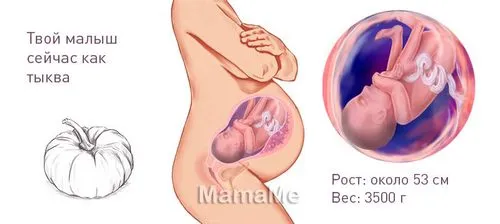 40 тиждень вагітності, почалася 40 тиждень вагітності, болі на 40 тижні вагітності, виділення на 40 тижні вагітності 40 тиждень вагітності