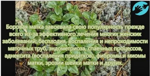 як правильно завагітніти