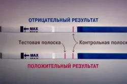 коли тест покаже вагітність