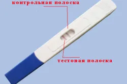 перший по підлозі