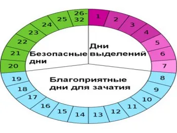 розрахунок вагітності