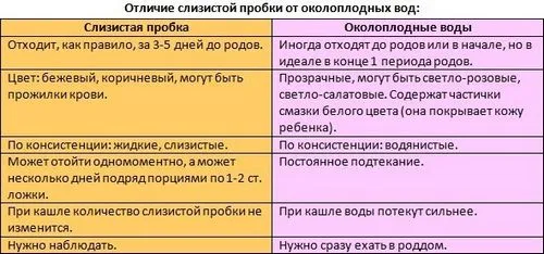 провісники пологів