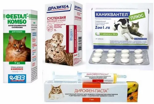 ніж вивести глисти у вагітних