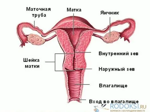 перший аборт безпліддя