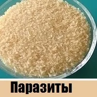 чому не можна займатися любов'ю під час вагітності чому не можна займатися любов'ю під час вагітності