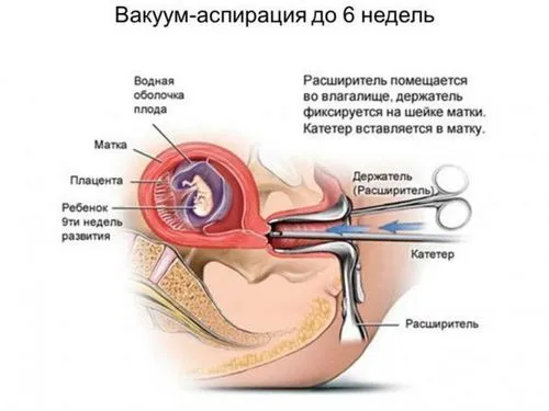 півроку