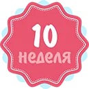10 тижні вагітності 10 тижні вагітності