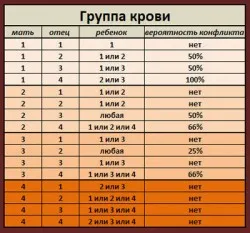нормальний перебіг вагітності