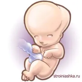 10 тиждень вагітності самопочуття 10 тиждень вагітності самопочуття