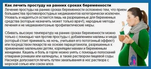 термін