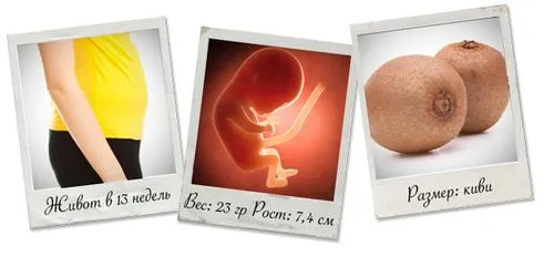 13 тиждень вагітності болить живіт