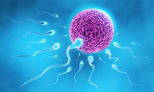 календар вагітності 1 тиждень