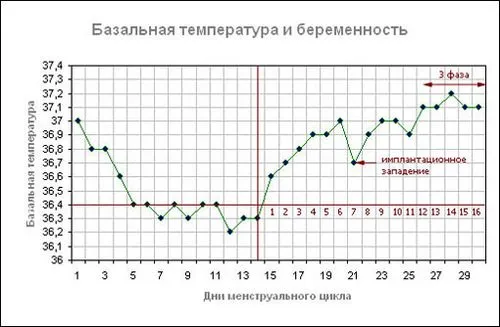 визначення вагітності визначення вагітності