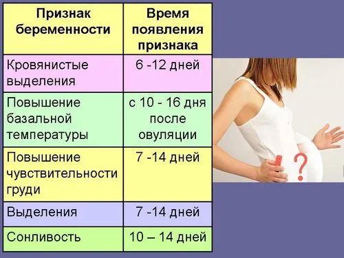 2 тиждень вагітності ознаки