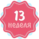 13 тиждень вагітності руху дитини 13 тиждень вагітності руху дитини