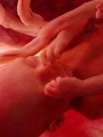 фото грудей вагітної жінки