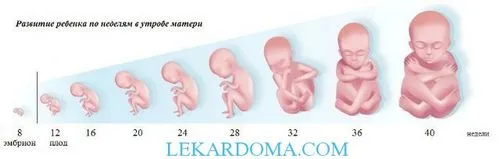 вагітність