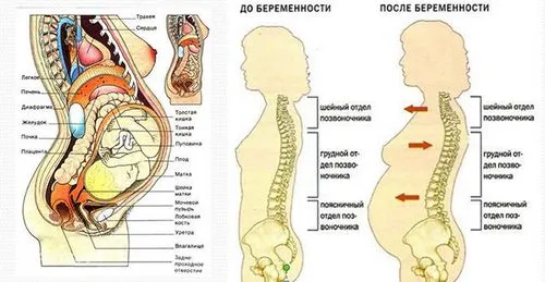 перші ознаки вагітності біль внизу живота