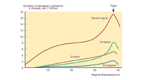 тест, вагітність, тест на вагітність, тест-смужка, планшетний тест, струменевий тест планшетний тест