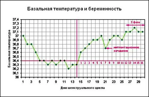 графіки базальної температури при вагітності
