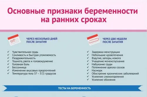 ранній термін