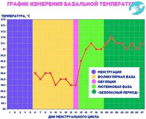 температура при вагітності 37