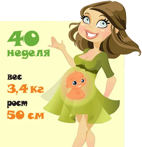 вагітність тиждень за тижнем