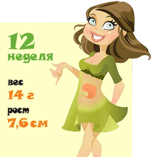 вагітність тиждень за тижнем