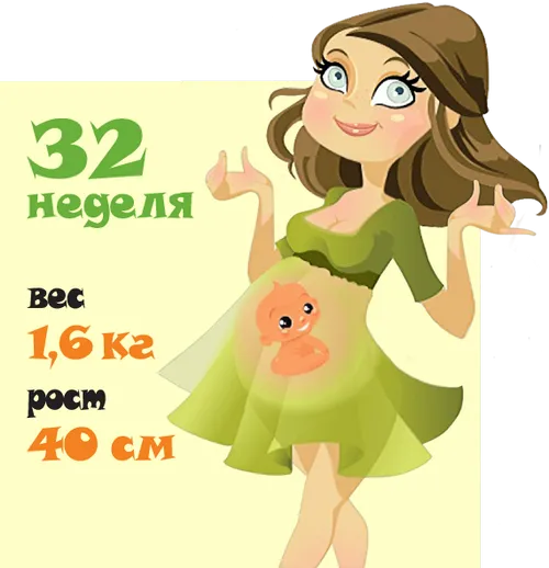вагітність тиждень за тижнем