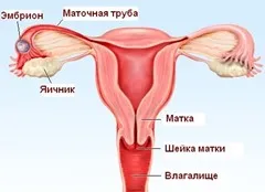 вагітність