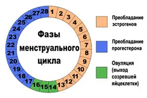 сприятливі дні зачаття дівчинки, календар зачаття 2016 сприятливі дні зачаття дівчинки