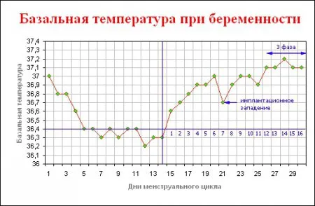 жінки