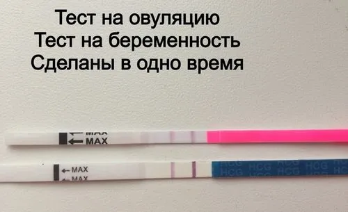 чи можна робити тест на вагітність під час овуляції