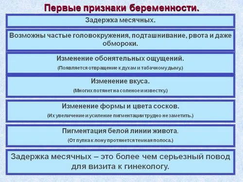 розмір матки на 2 тижні вагітності