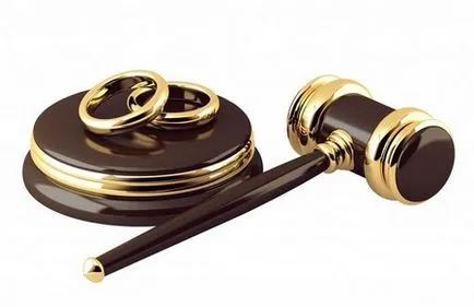 Cererea de divorț în 2017, un șablon de probă și o declarație de cerere a instanței, declarația în prezența (probă) Cerere de divorț în 2017, un șablon de probă și o declarație de cerere în instanța de judecată, declarația în prezența