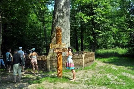 Informații Bialowieza Forest Reserve, ce să vezi, cum se ajunge acolo, în cazul în care să stați, fotografii