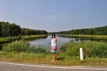 Informații Bialowieza Forest Reserve, ce să vezi, cum se ajunge acolo, în cazul în care să stați, fotografii