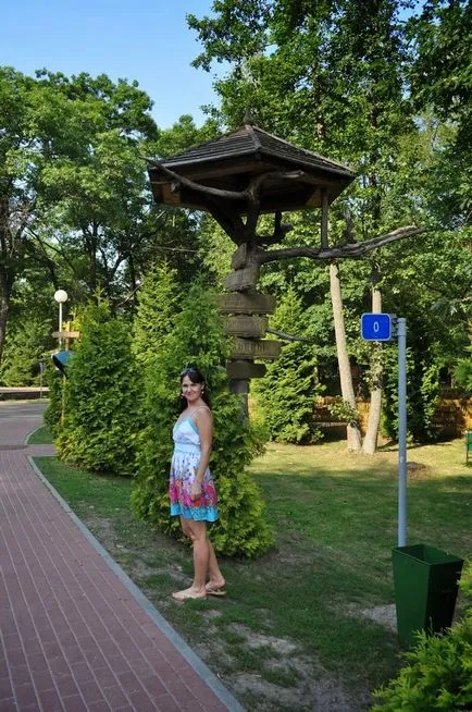 Informații Bialowieza Forest Reserve, ce să vezi, cum se ajunge acolo, în cazul în care să stați, fotografii