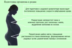 перший по підлозі